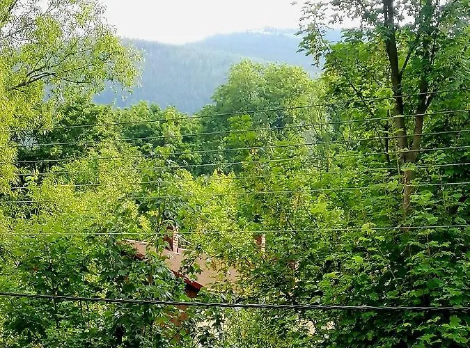 U Edka Przy Dolnej Apartament *